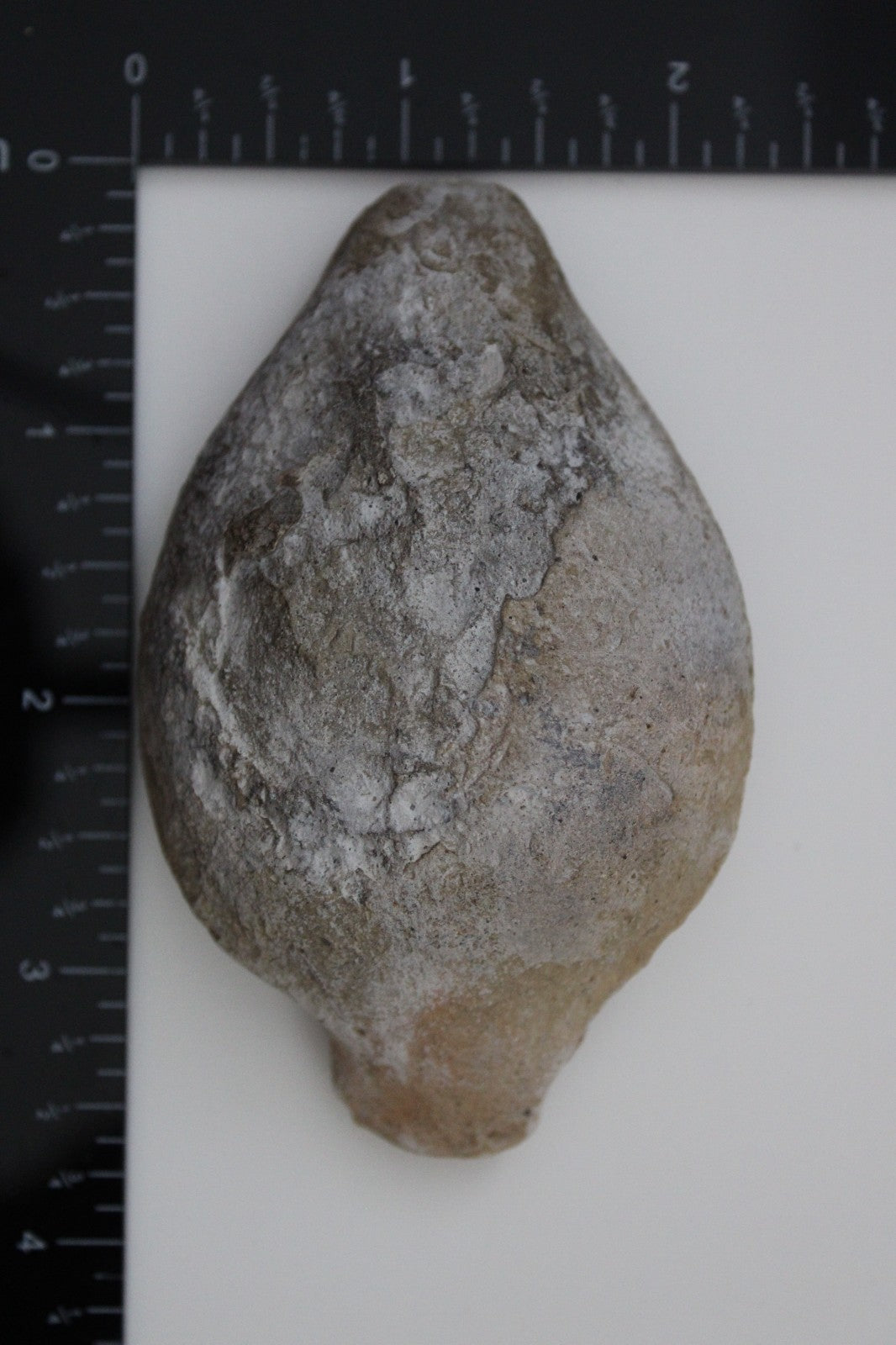 Holy Land Oil Lamp Ancient Artifact Time of the Christians 313-636 AD COA 173