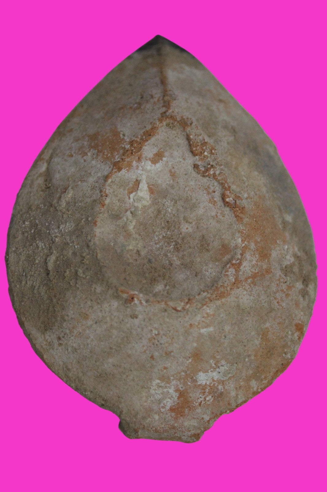 Holy Land Oil Lamp Ancient Artifact Time of the Christians 313-636 AD COA 181