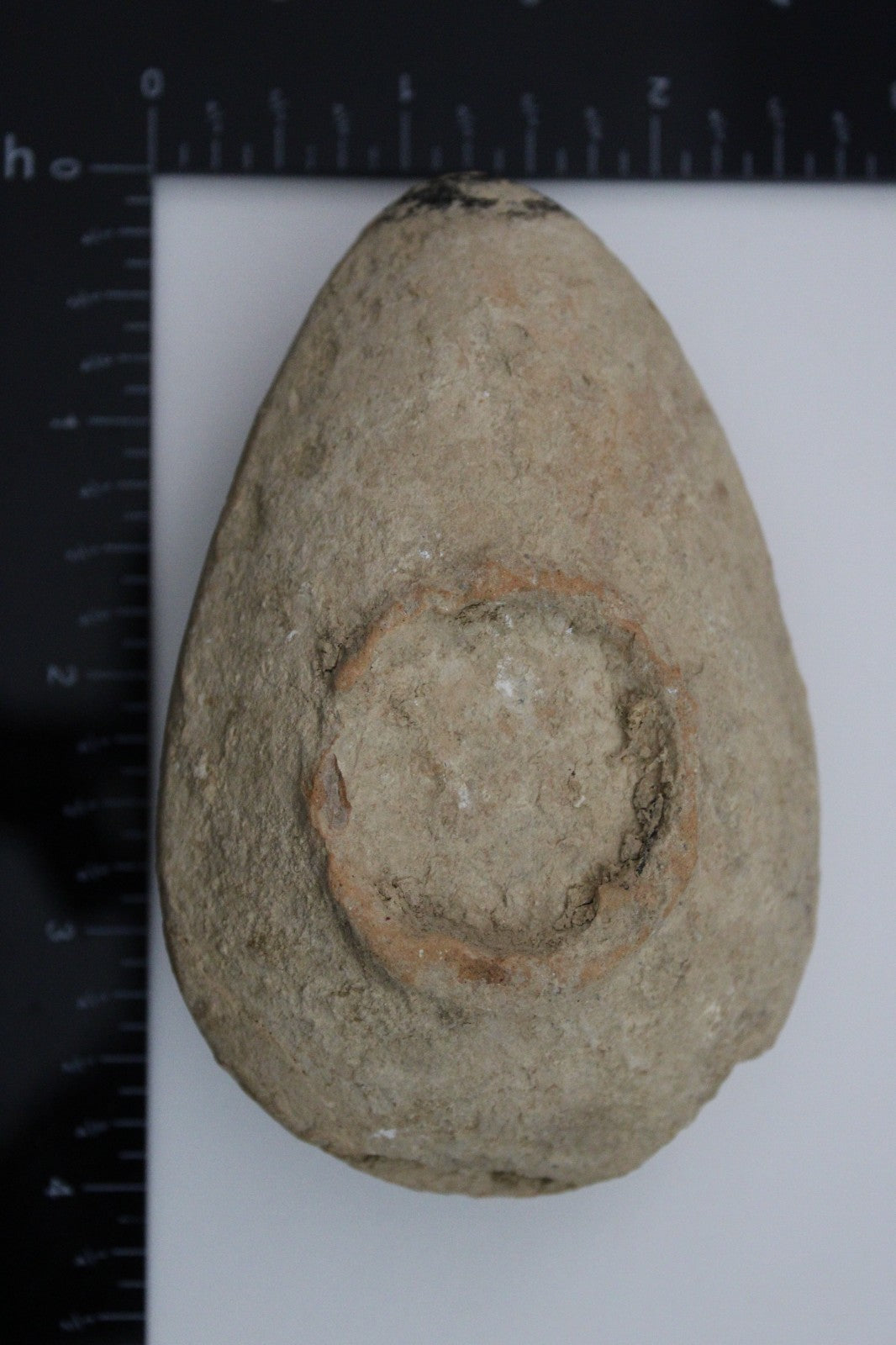Holy Land Oil Lamp Ancient Artifact Time of the Christians 313-636 AD COA 211