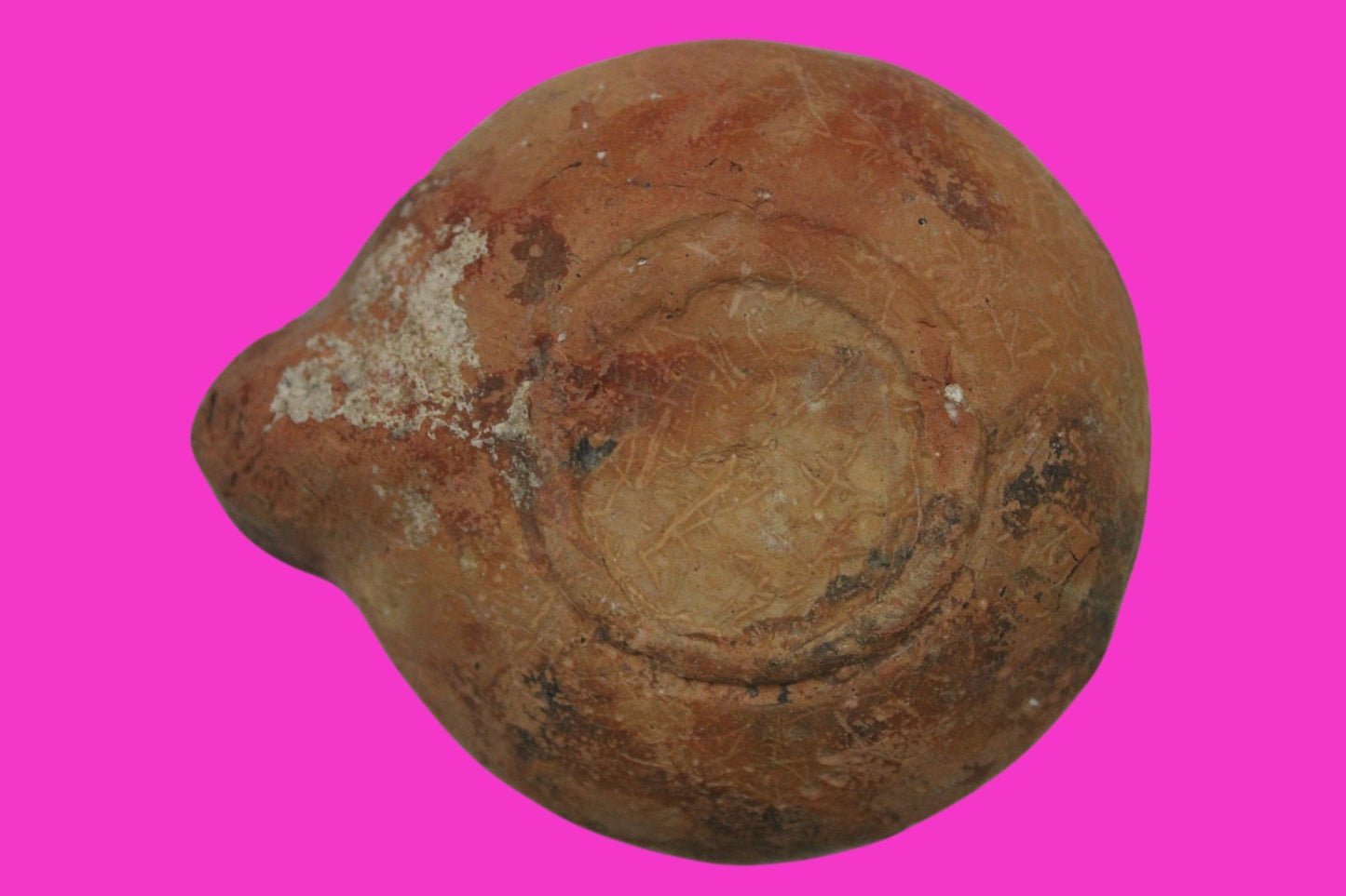 Holy Land Oil Lamp Ancient Artifact Time of Jesus & Apostles 63BC-323AD COA 140