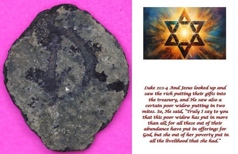 Widows Mite Coin Holy Land Artifact Frameable Display Card Jesus Christ COA B533