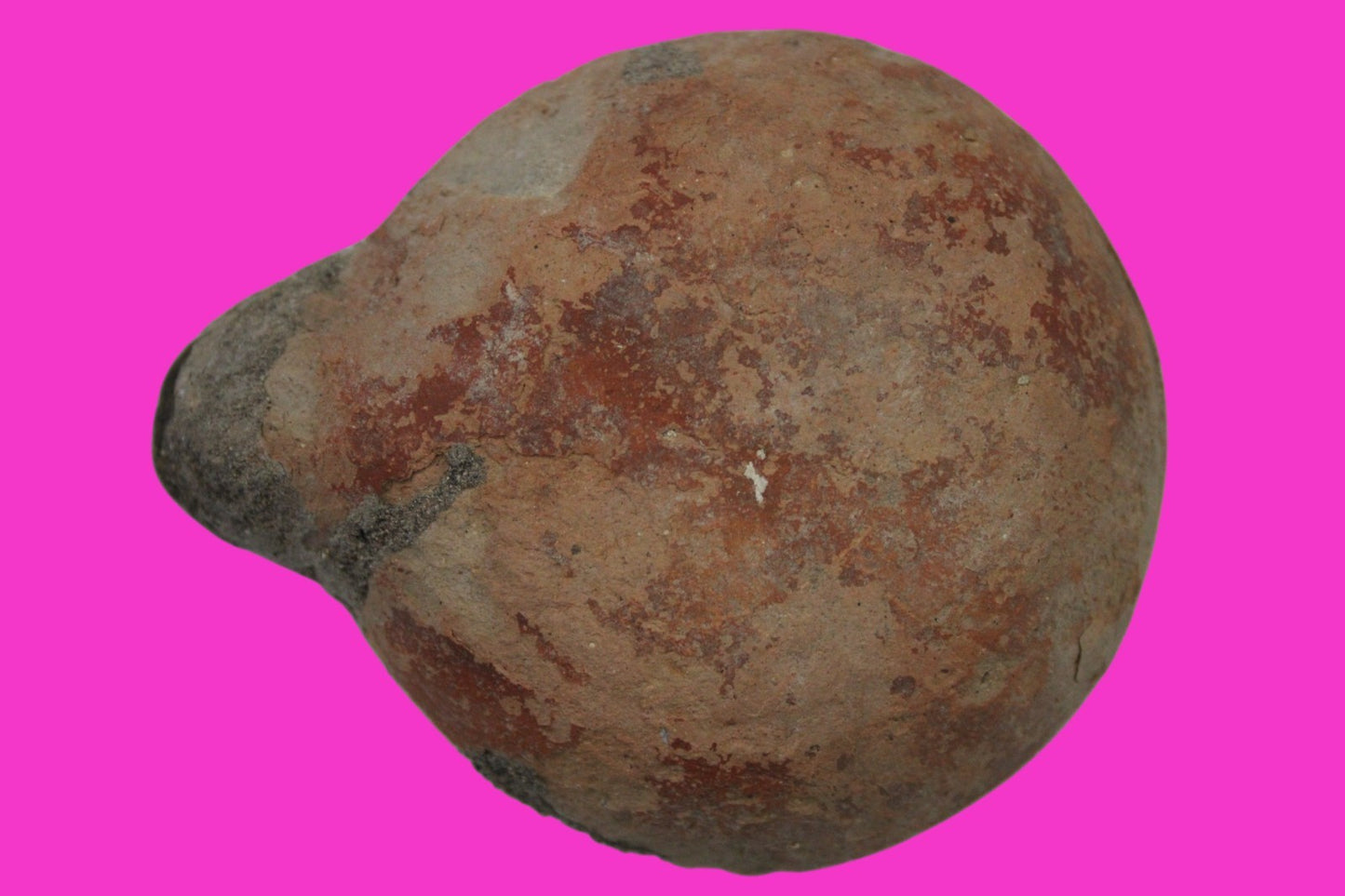 Holy Land Oil Lamp Ancient Artifact Time of Jesus & Apostles 63BC-323AD COA 141