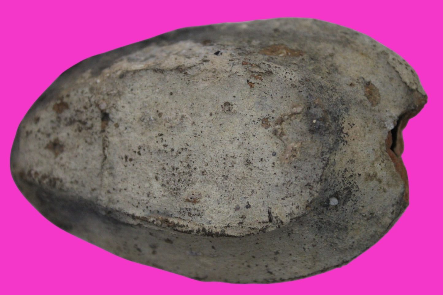 Time of the Christians Oil Lamp Ancient Holy Land Artifact 313-636 AD COA 15