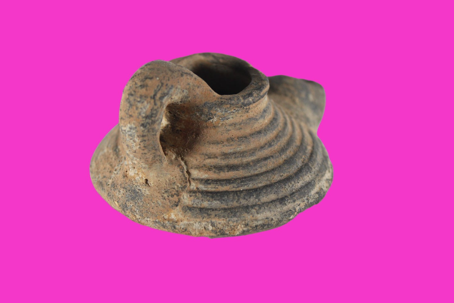 Holy Land Oil Lamp Ancient Artifact Time of the Arab Invasion 660-800 AD COA 242