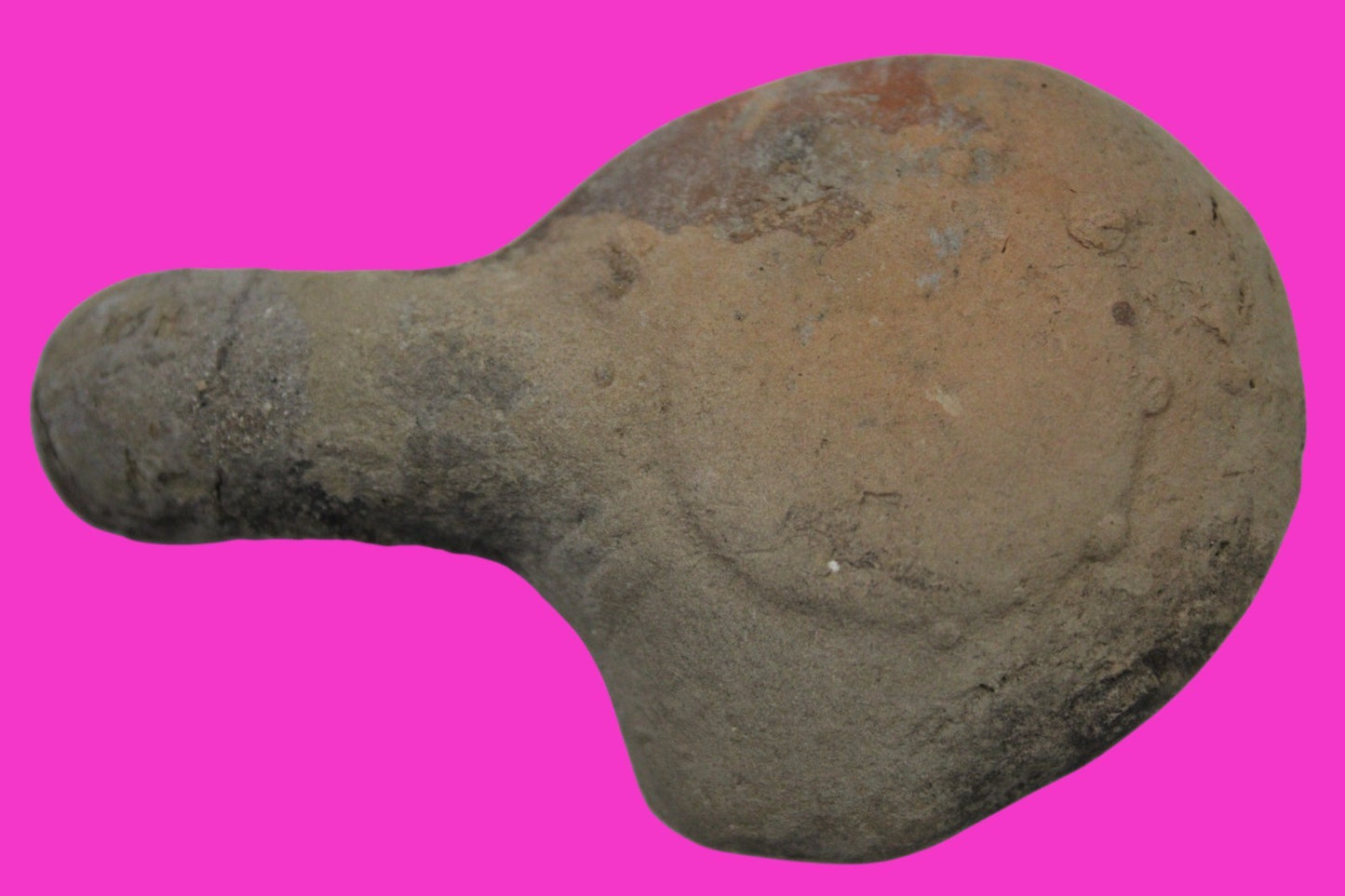 Holy Land Oil Lamp Ancient Artifact Alexander the Great Era 332-63 BC COA 228