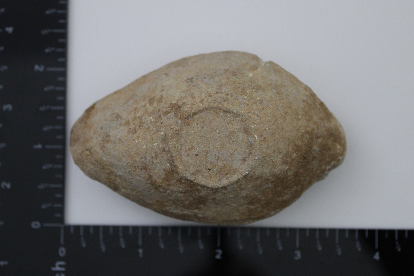 Holy Land Oil Lamp Ancient Artifact Time of the Christians 313-636 AD COA 190