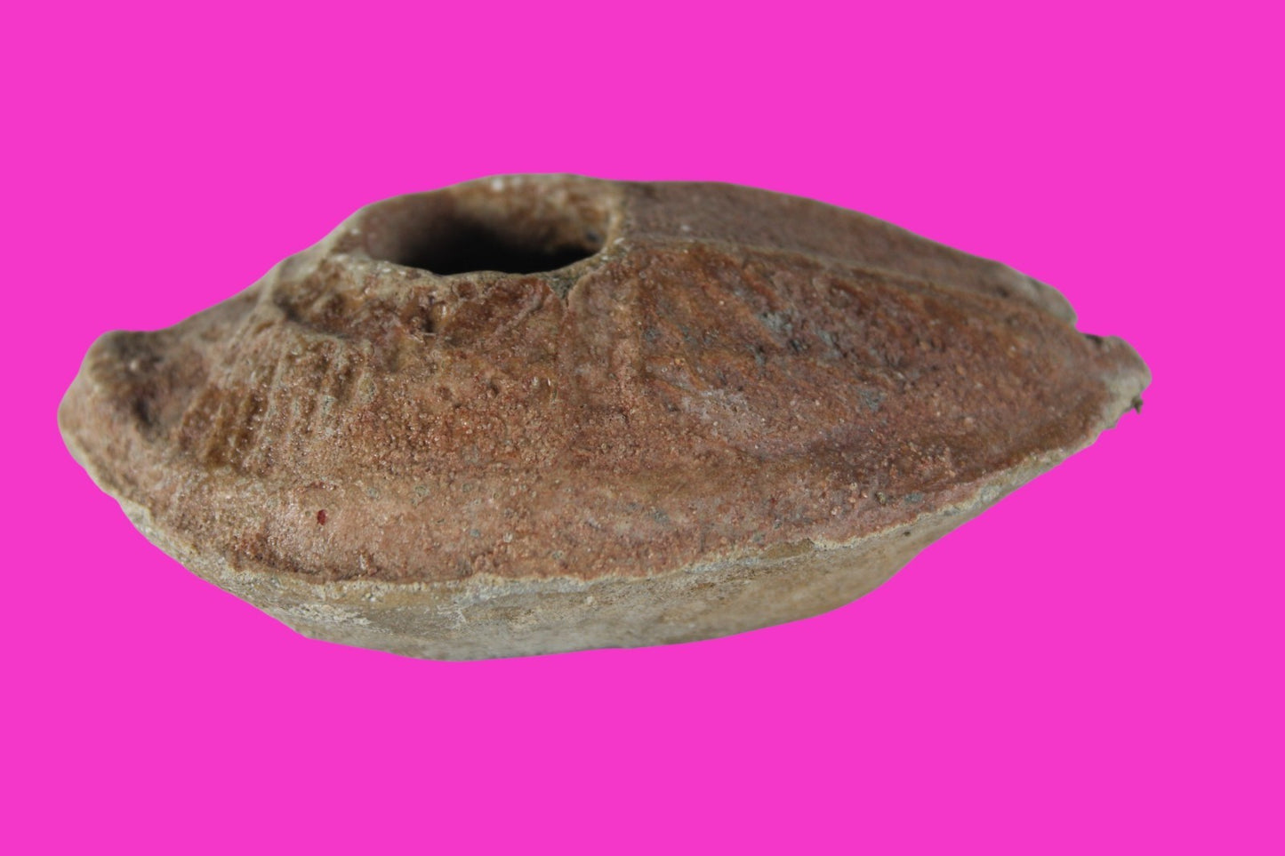 Holy Land Oil Lamp Ancient Artifact Time of the Christians 313-636 AD COA 192