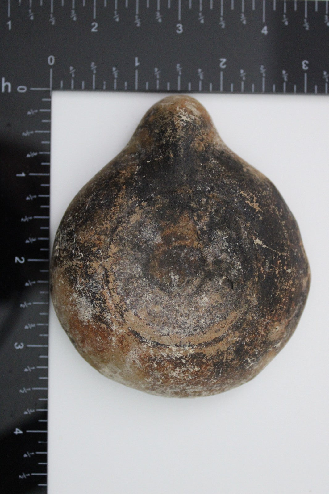 Holy Land Oil Lamp Ancient Artifact Time of Jesus & Apostles 63BC-323AD COA 160