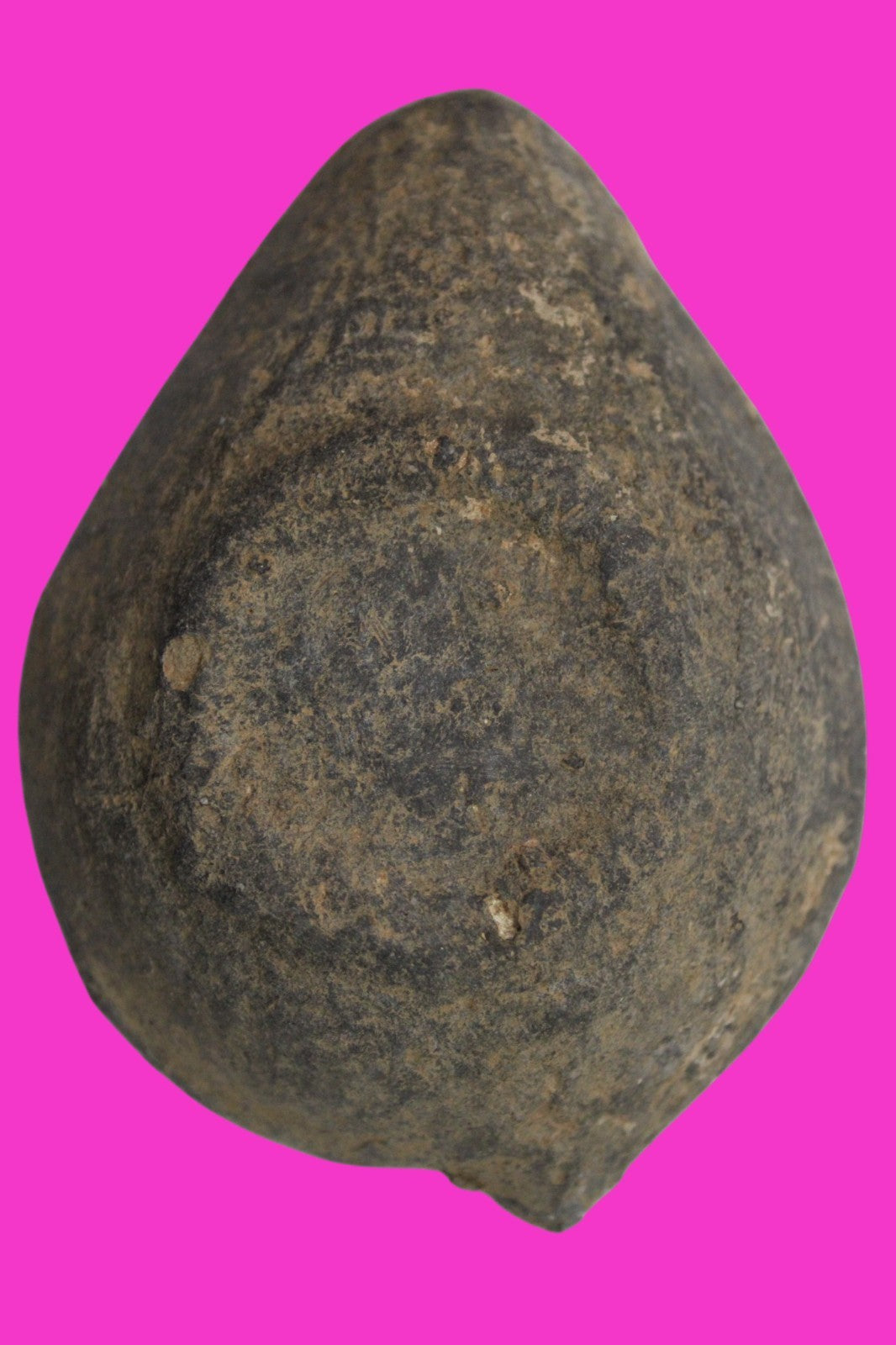 Holy Land Oil Lamp Ancient Artifact Time of Jesus & Apostles 63BC-323AD COA 170