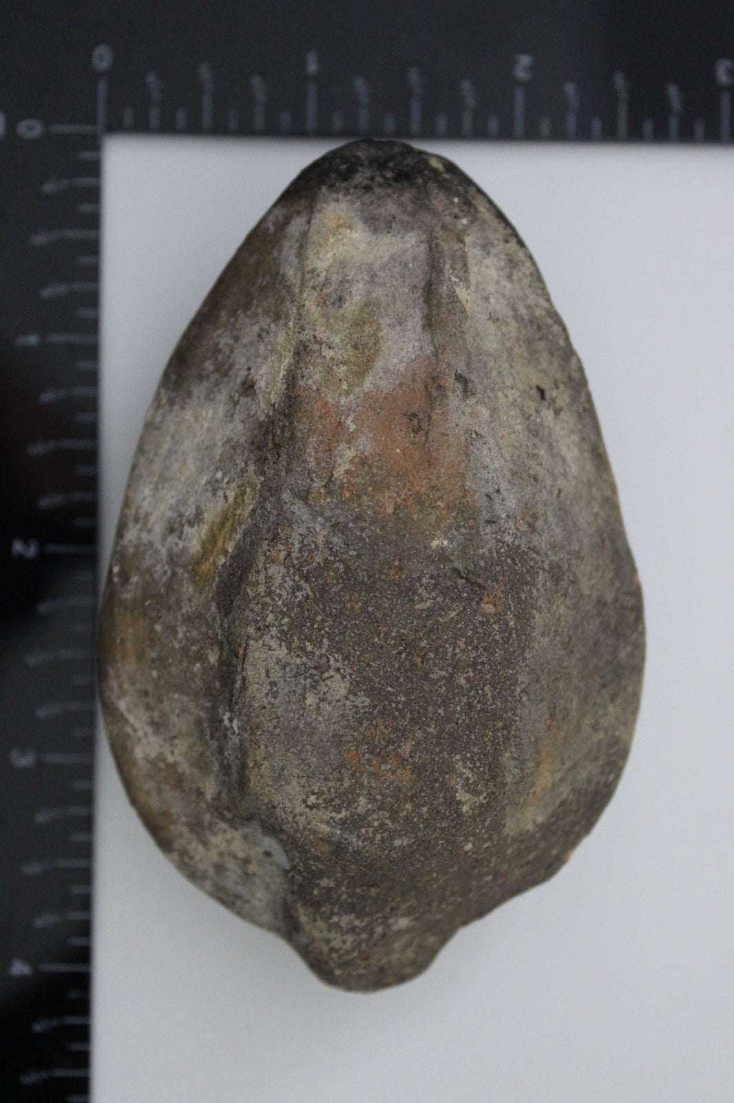 Holy Land Oil Lamp Ancient Artifact Time of the Christians 313-636 AD COA 196