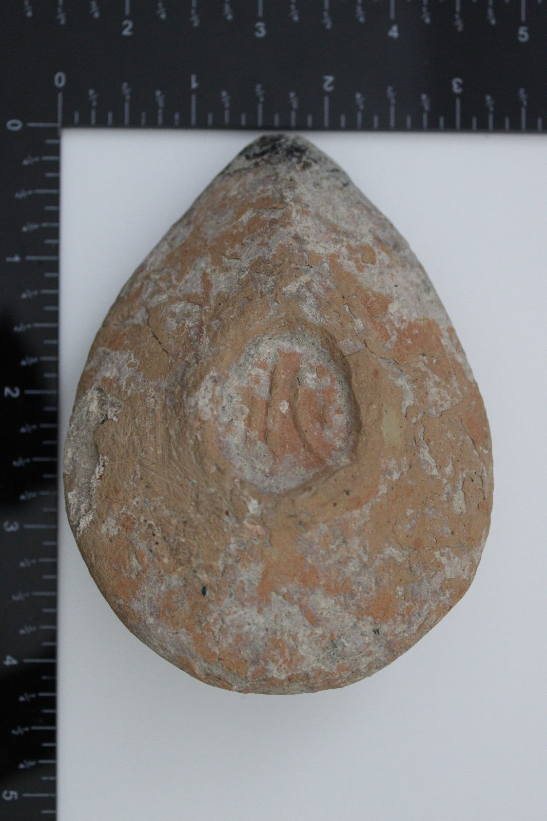 Large Holy Land Oil Lamp Ancient Artifact Time of Christians 313-636 AD COA 199