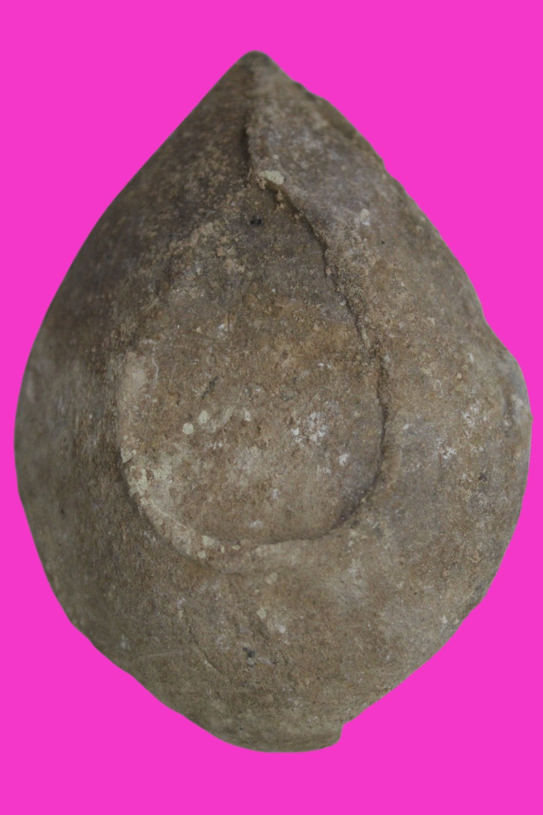 Holy Land Oil Lamp Ancient Artifact Time of the Christians 313-636 AD COA 184