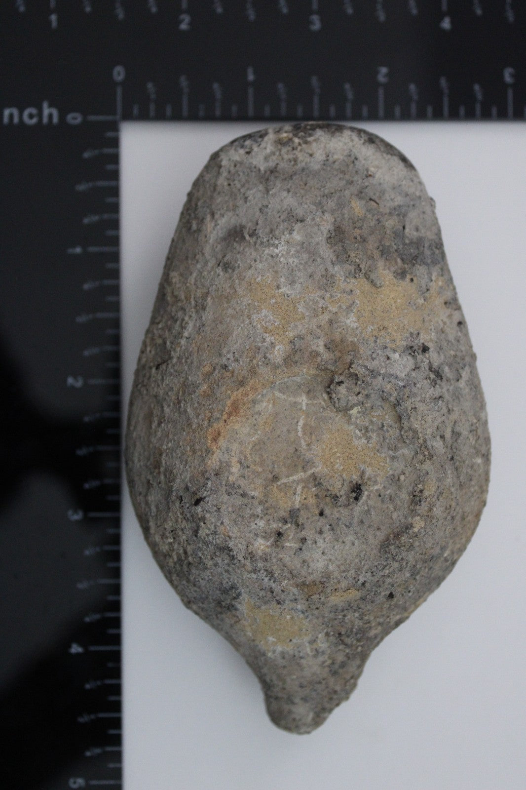 Holy Land Oil Lamp Ancient Artifact Time of the Christians 313-636 AD COA 220