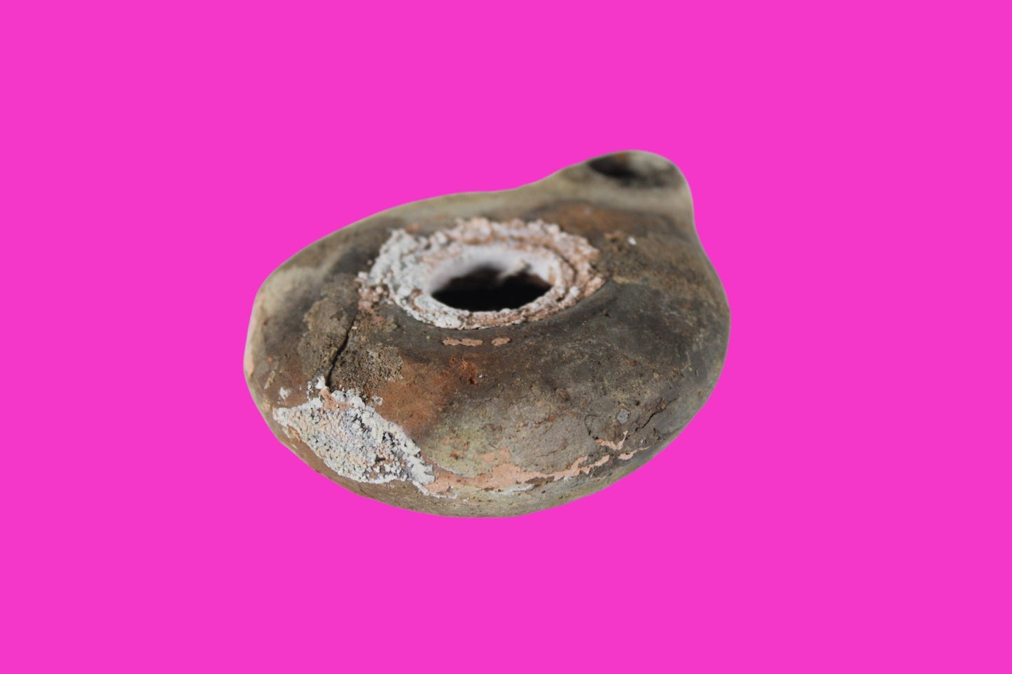 Holy Land Oil Lamp Ancient Artifact Time of Jesus & Apostles 63BC-323AD COA 156
