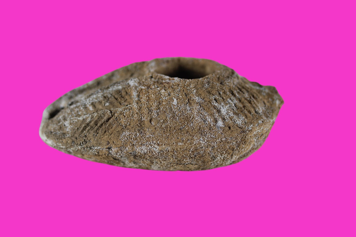Time of the Christians Oil Lamp Ancient Holy Land Artifact 313-636 AD COA 23