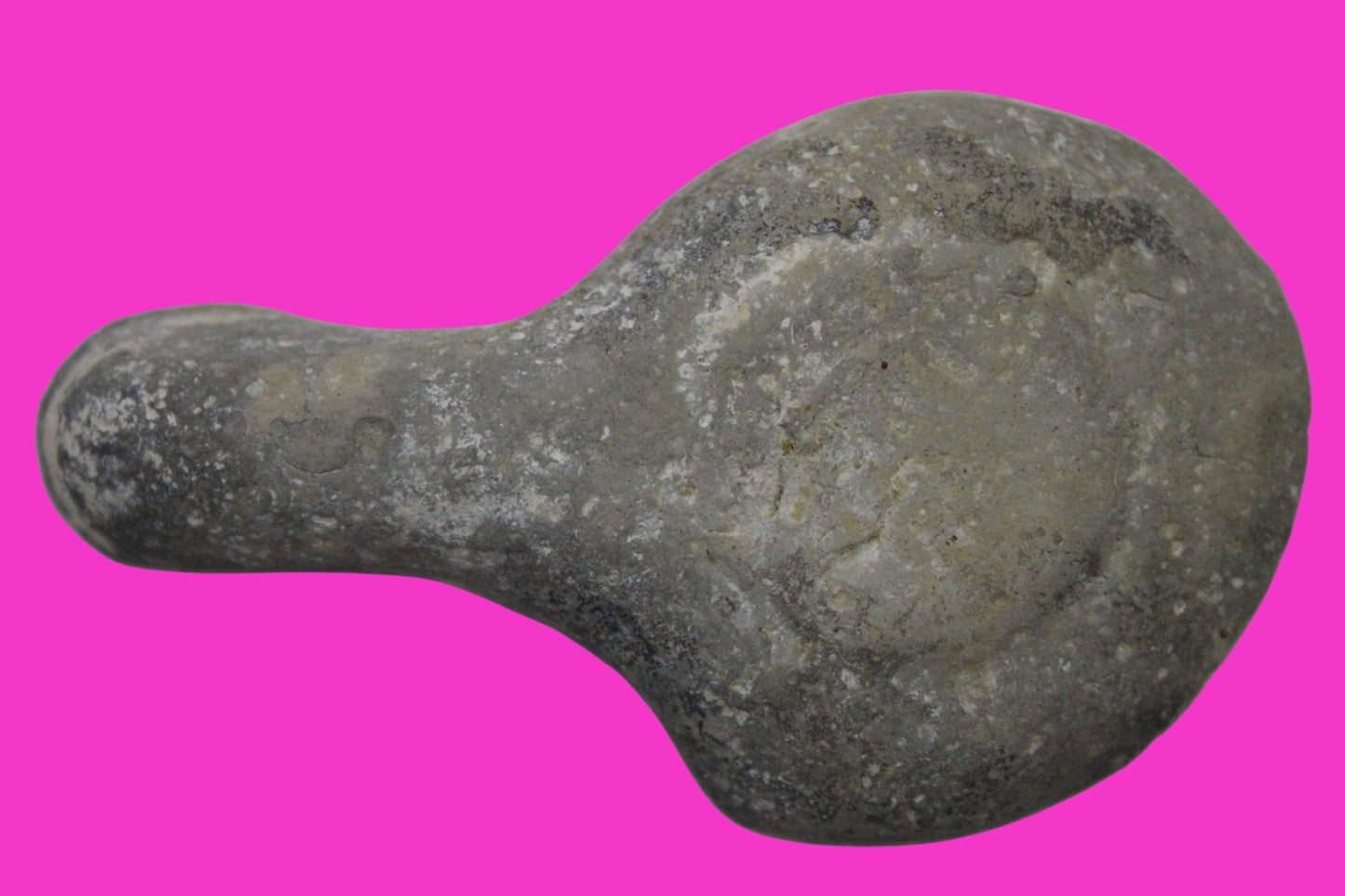 Holy Land Oil Lamp Ancient Artifact Alexander the Great Era 332-63 BC COA 227