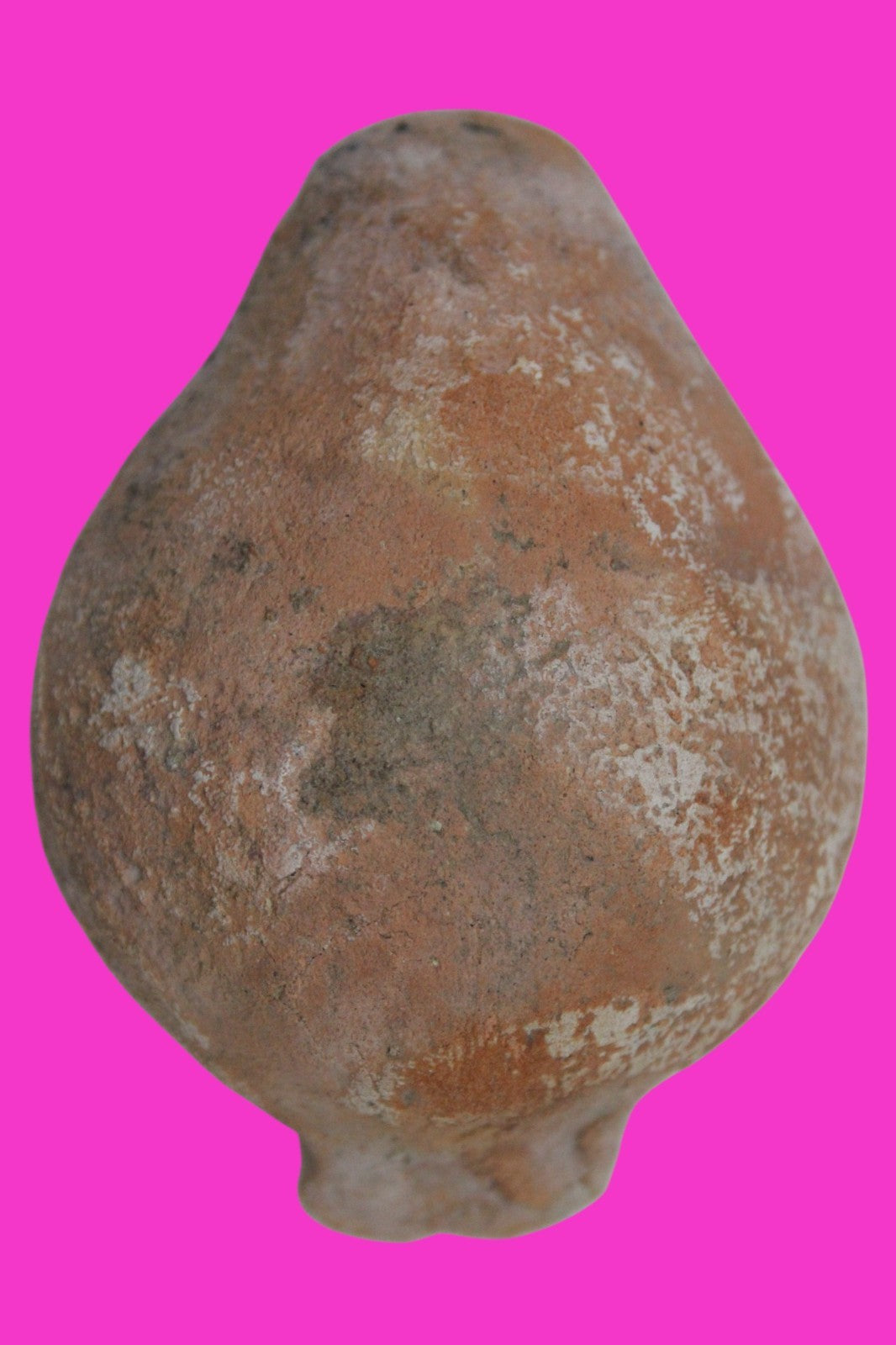 Holy Land Oil Lamp Ancient Artifact Time of the Christians 313-636 AD COA 185
