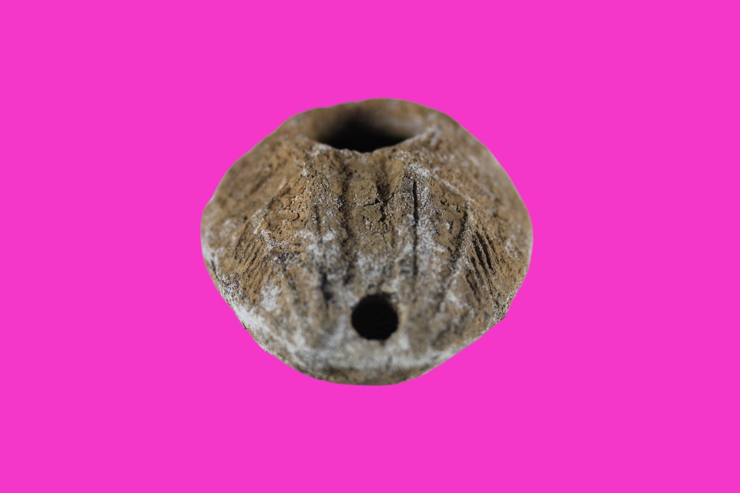 Time of the Christians Oil Lamp Ancient Holy Land Artifact 313-636 AD COA 23
