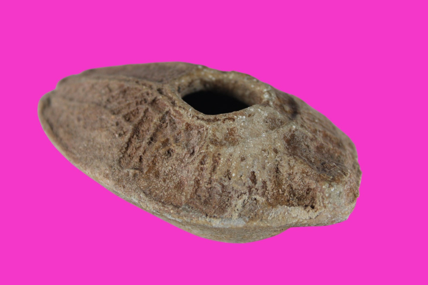 Holy Land Oil Lamp Ancient Artifact Time of the Christians 313-636 AD COA 192