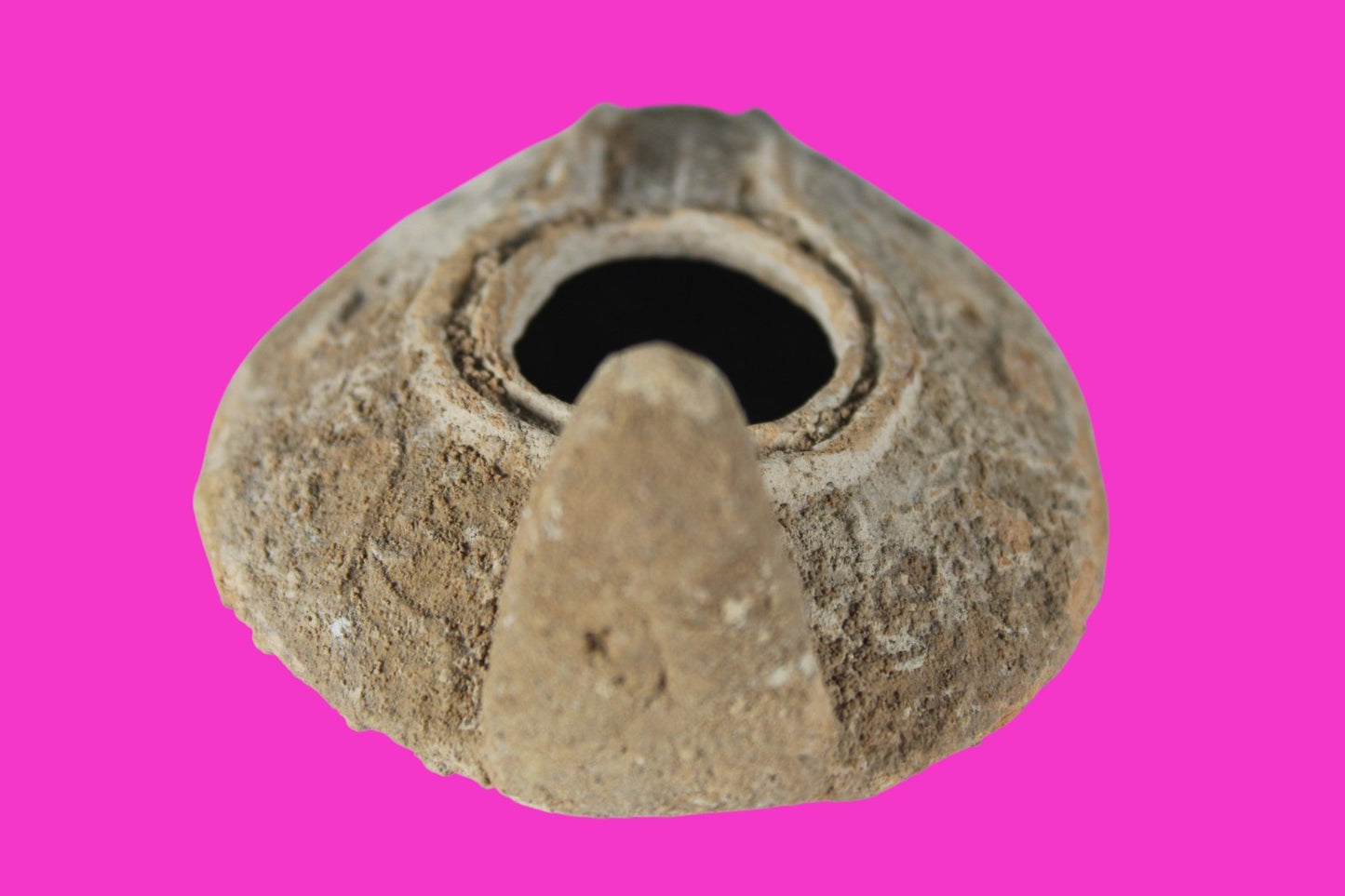 Holy Land Oil Lamp Ancient Artifact Time of the Christians 313-636 AD COA 204