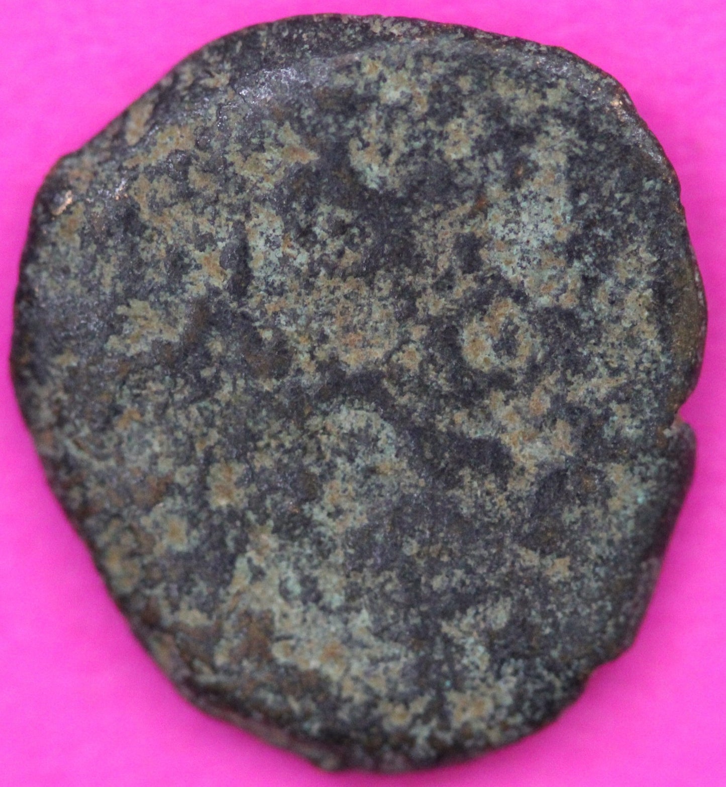 Widows Mite Coin Holy Land Artifact Frameable Display Card Jesus Christ COA C552