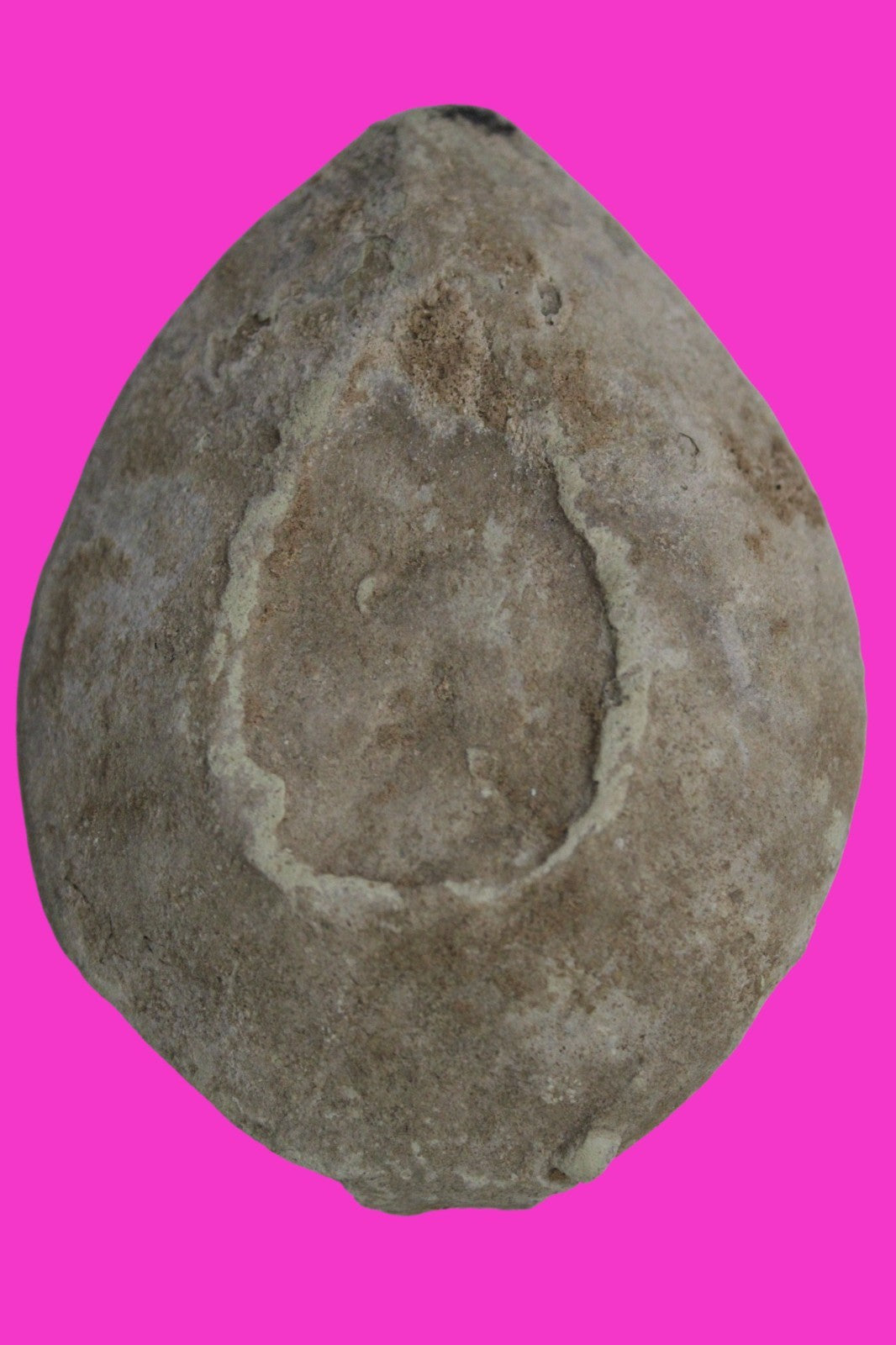 Holy Land Oil Lamp Ancient Artifact Time of the Christians 313-636 AD COA 197