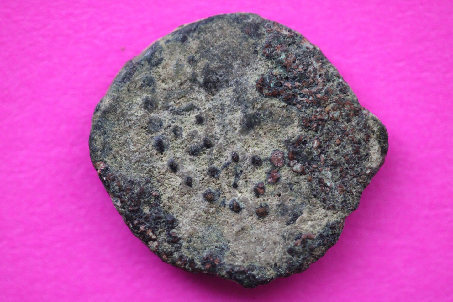 Widows Mite Coin Holy Land Artifact Jesus Christ Time Frameable Display COA 164