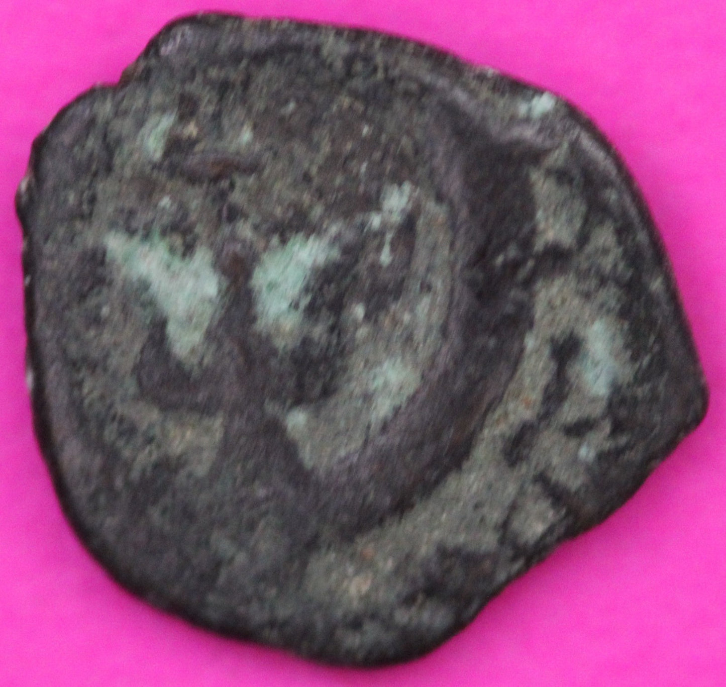Widows Mite Coin Holy Land Artifact Frameable Display Card Jesus Christ COA F623