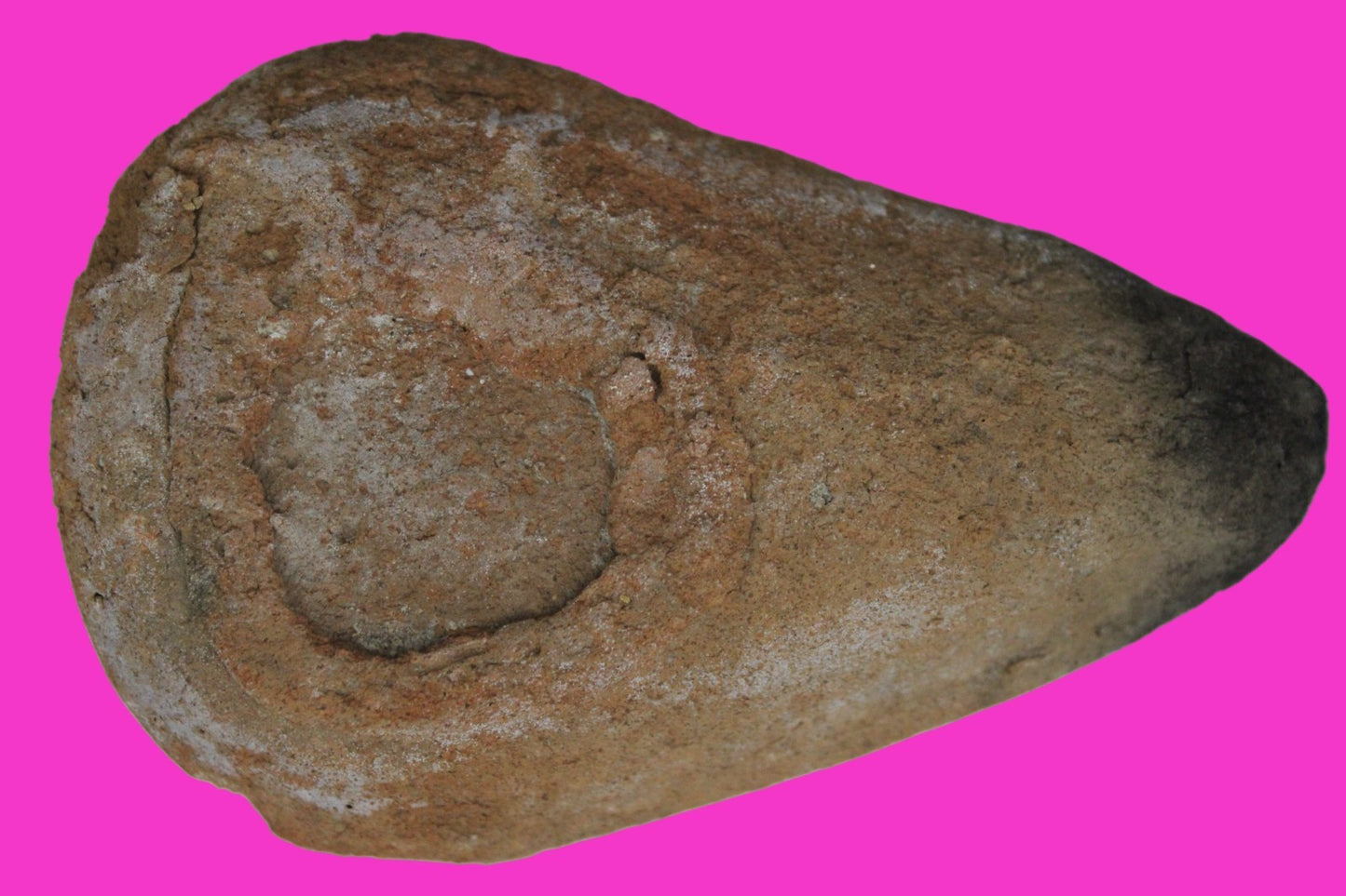 Time of the Christians Oil Lamp Ancient Holy Land Artifact 313-636 AD COA 03