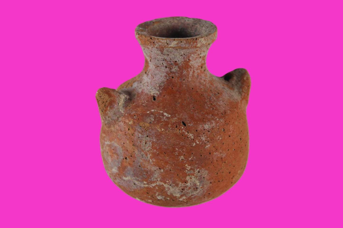 Time of Moses Holy Land Artifact Ancient 3500 Year Old Jar 1600-1200 BC COA 68