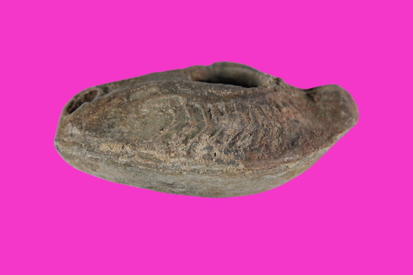 Holy Land Oil Lamp Ancient Artifact Time of the Christians 313-636 AD COA 178