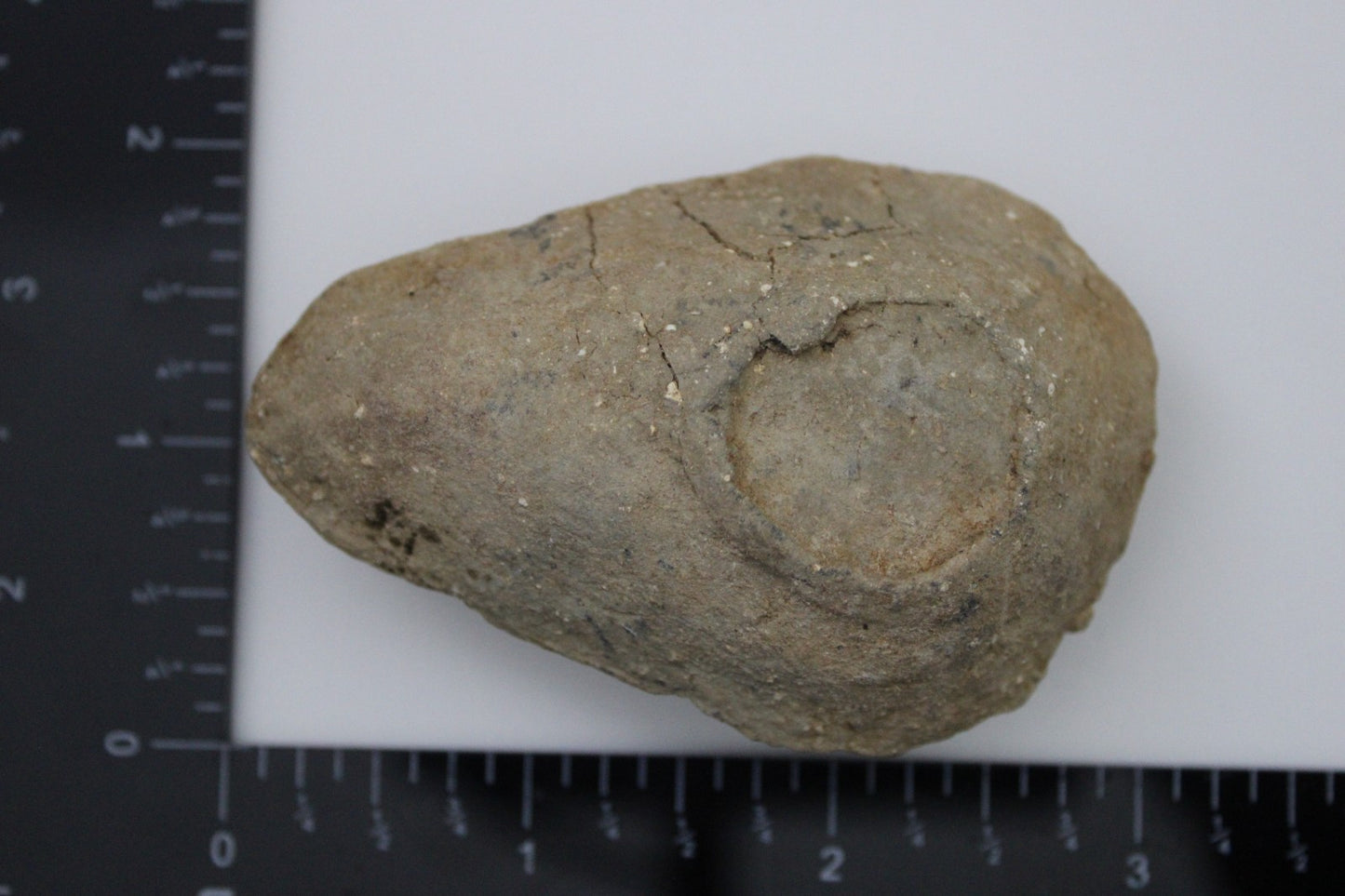 Holy Land Oil Lamp Ancient Artifact Time of the Christians 313-636 AD COA 201