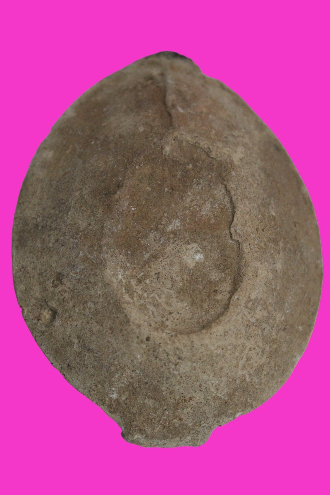 Holy Land Oil Lamp Ancient Artifact Time of the Christians 313-636 AD COA 221