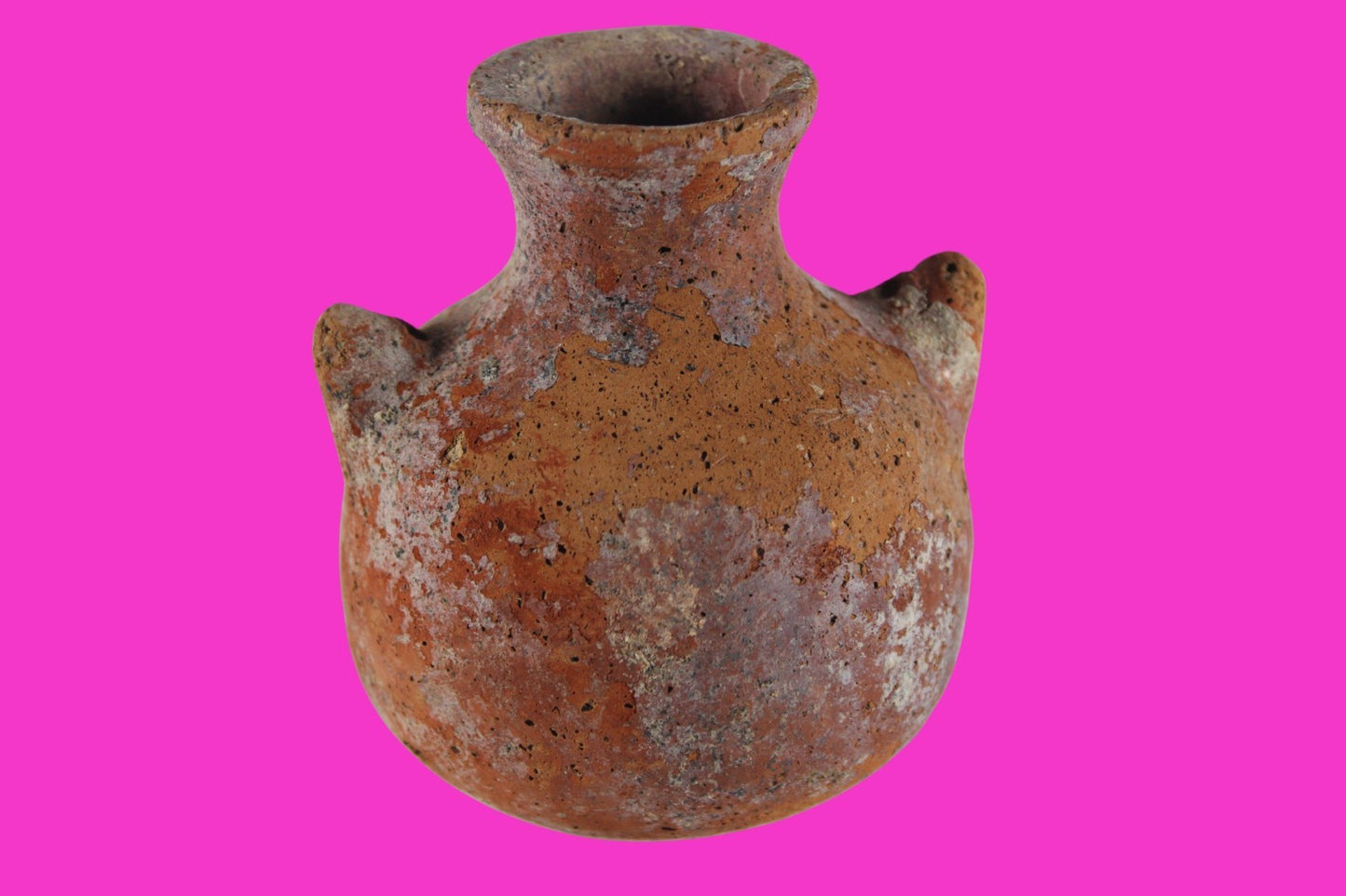 Time of Moses Holy Land Artifact Ancient 3500 Year Old Jar 1600-1200 BC COA 68