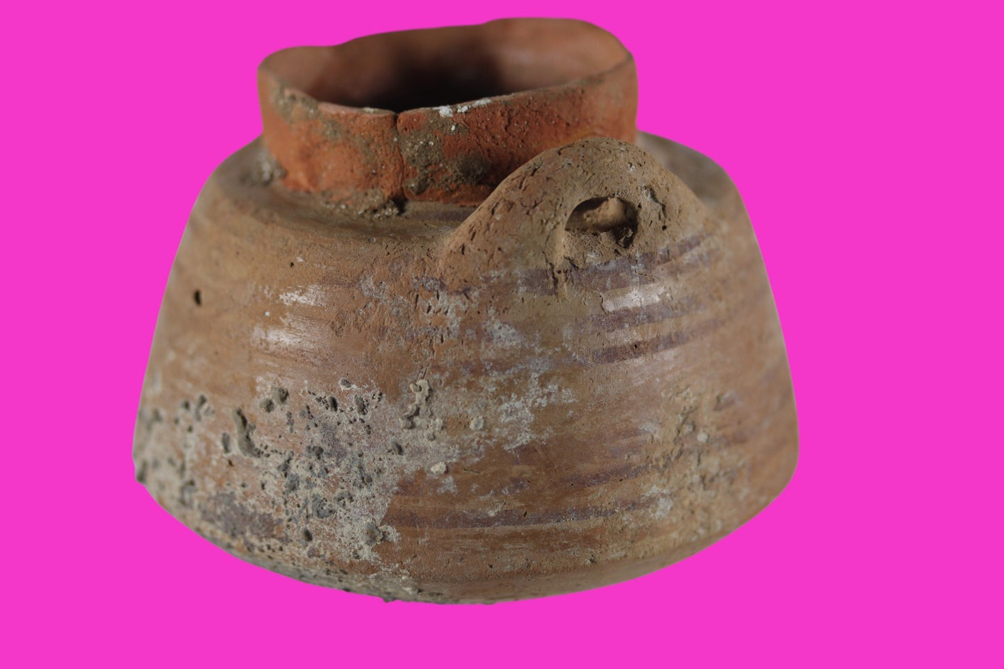 Time of Alexander the Great Holy Land Artifact Ancient Jar 332 BC-63 AD COA 96