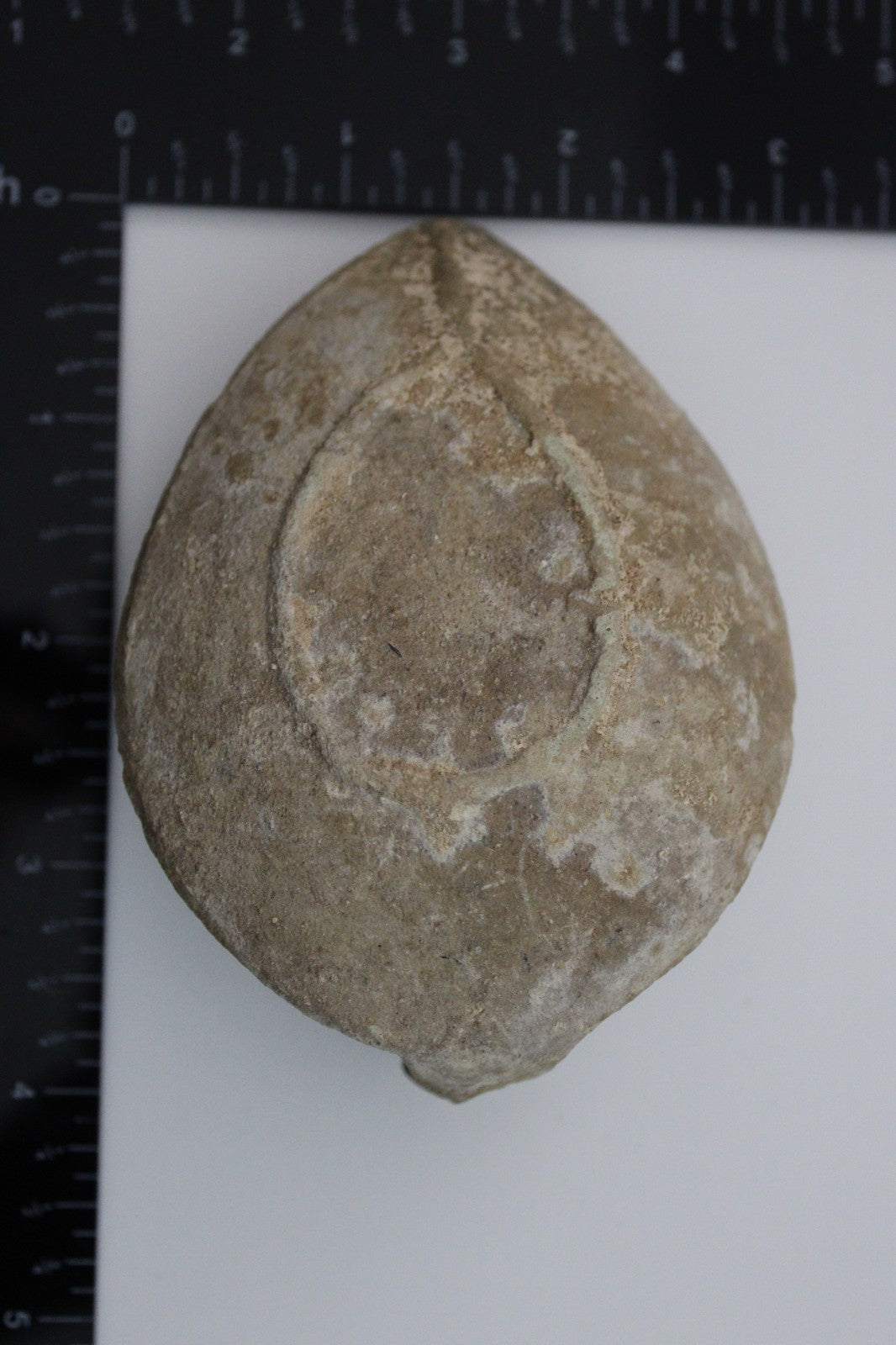 Holy Land Oil Lamp Ancient Artifact Time of the Christians 313-636 AD COA 218