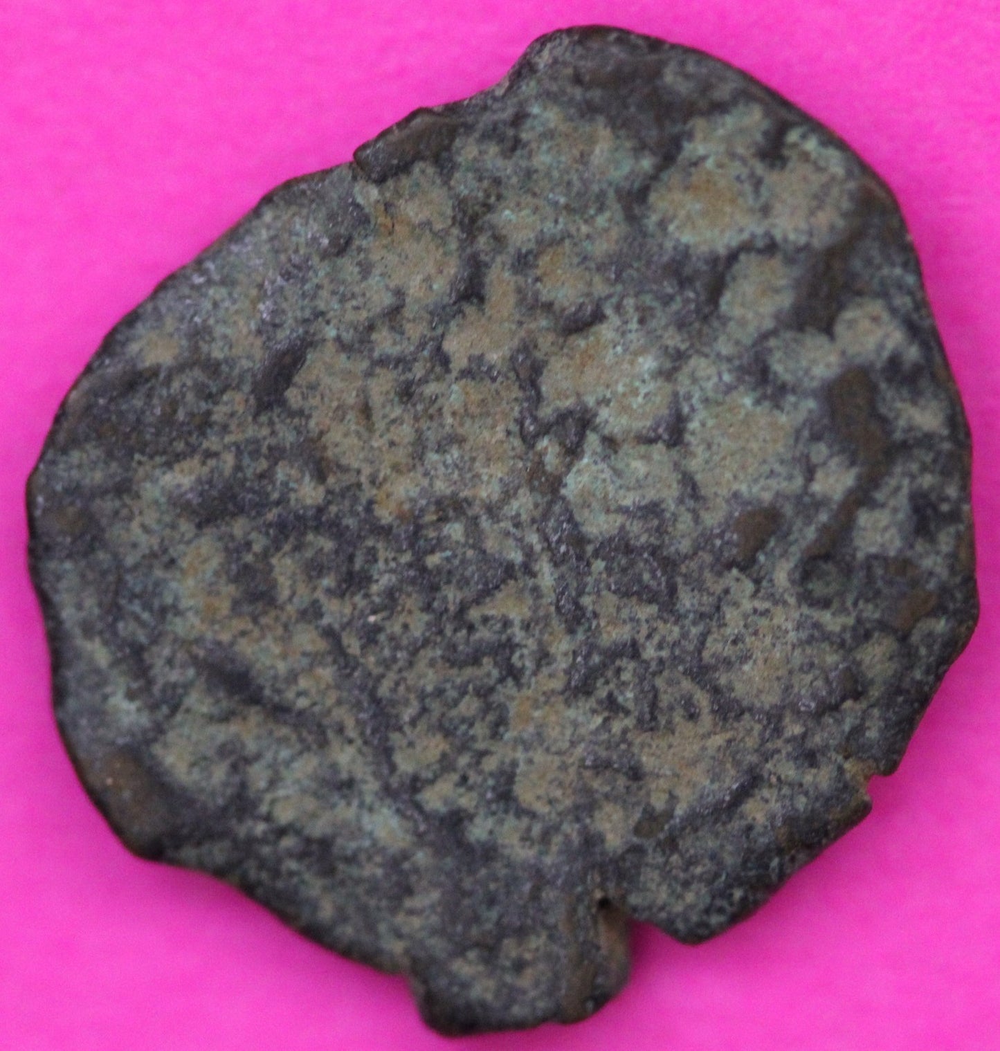 Widows Mite Coin Holy Land Artifact Frameable Display Card Jesus Christ COA B535